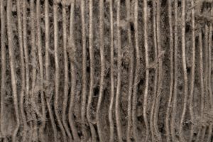 Close-up on dust from air air conditioner filter